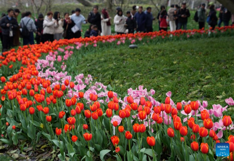 Ανοιξι?τικε? εικ?νε? απ? ?δι?φορε? περιοχ?? τη? Κ?να?