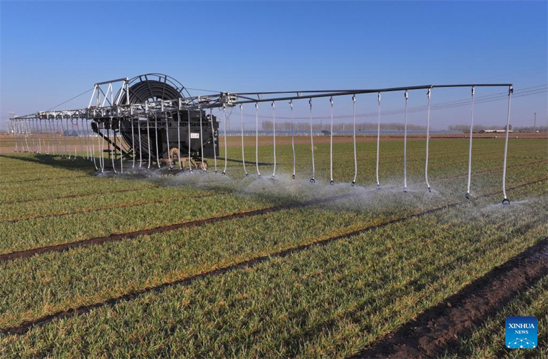 Σε πλ?ρη εξ?λιξη η αγροτικ? δραστηρι?τητα στην επαρχ?α Χεμπ?ι τη? Κ?να?