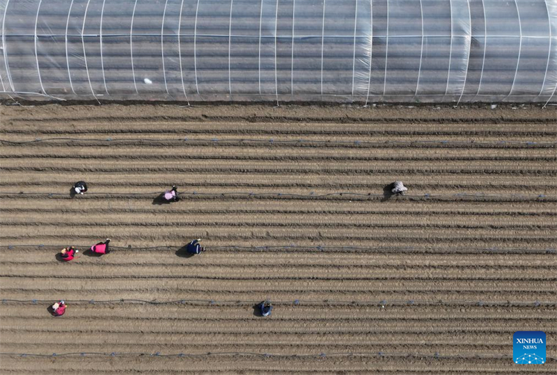 Σε πλ?ρη εξ?λιξη η αγροτικ? δραστηρι?τητα στην επαρχ?α Χεμπ?ι τη? Κ?να?