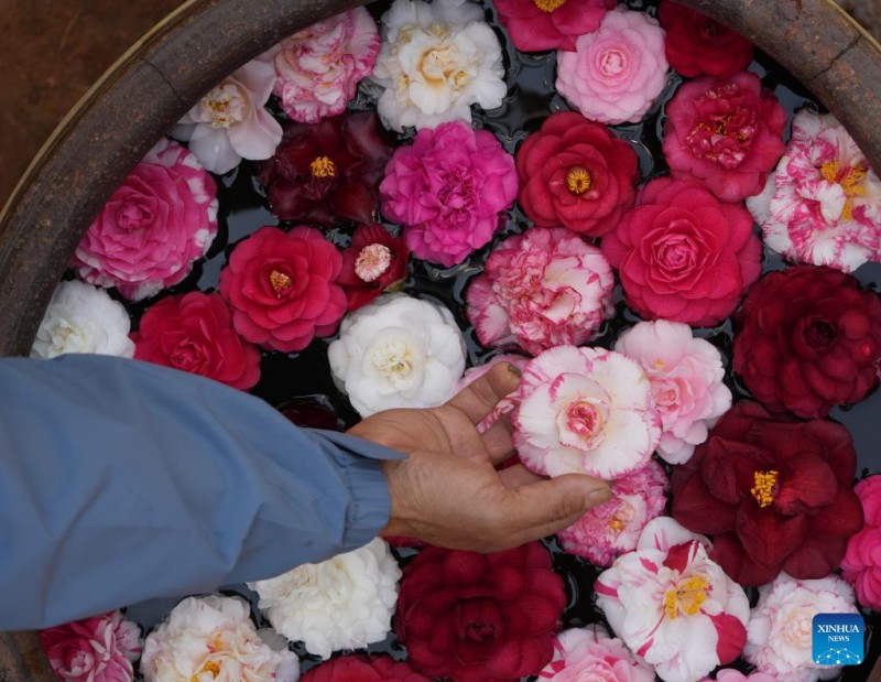 Ιστορ?α τη? Τζο?μα, τη? Κινεζικ?? π?λη? τη? καμ?λια? μ?σα απ? τα μ?τια εν?? παραγωγο?