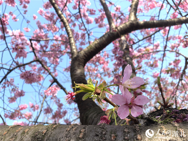 (Φωτογραφ?α / Λα?κ? Καθημεριν? Online)