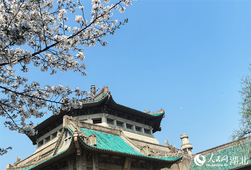 (Φωτογραφ?α / Λα?κ? Καθημεριν? Online)