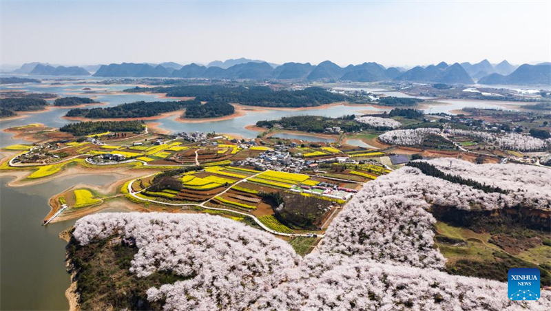 Εικ?νε? απ? τι? ανθισμ?νε? κερασι?? στη Ν?α Περιοχ? Γκουε??ν, στην επαρχ?α Γκουε?τζ?ου τη? Κ?να?