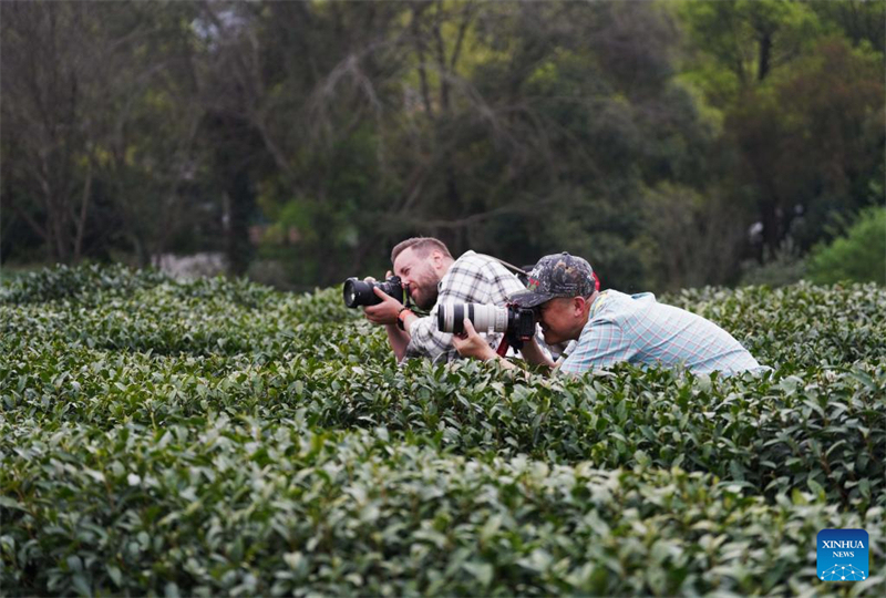 Ο Winston Zhou (δεξι?), πρ?εδρο? τη? ?νωση? Φωτογρ?φων Β?ρεια? Αμερικ??, τραβ? φωτογραφ?ε? σε ?ναν κ?πο τσαγιο? στο Hangzhou, ανατολικ? επαρχ?α Zhejiang τη? Κ?να?, 27 Μαρτ?ου 2025. (Φωτογραφ?α / Xinhua)