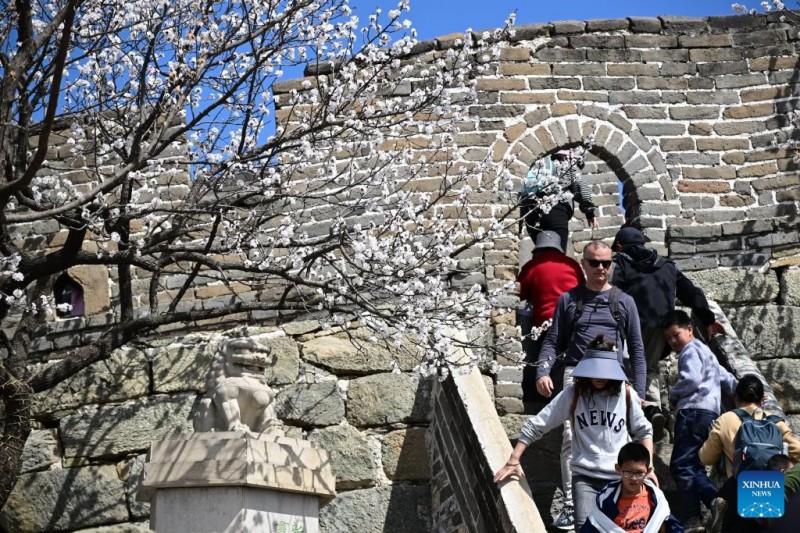 Ανοιξι?τικο τοπ?ο στα τμ?ματα Mutianyu?και Jiankou?του Σινικο? Τε?χου? στο Πεκ?νο