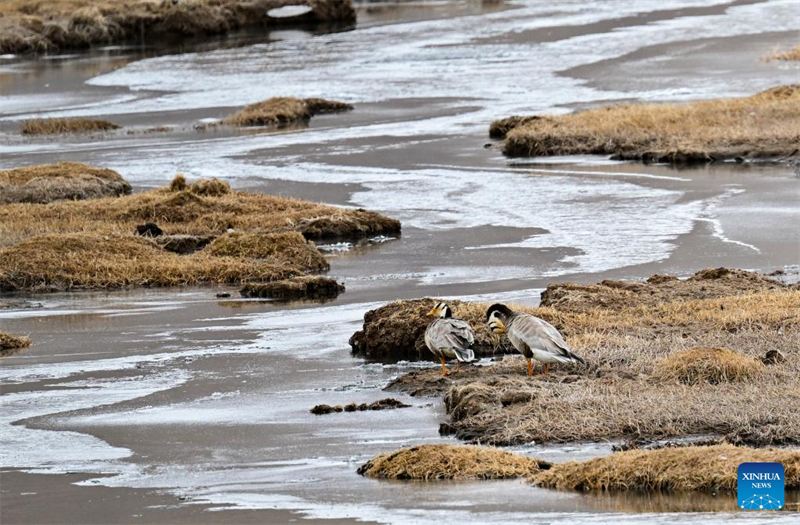 ?ποψη τη? π?λη? Γιουσο?, στην επαρχ?α Τσινγκχ?ι τη? Κ?να?