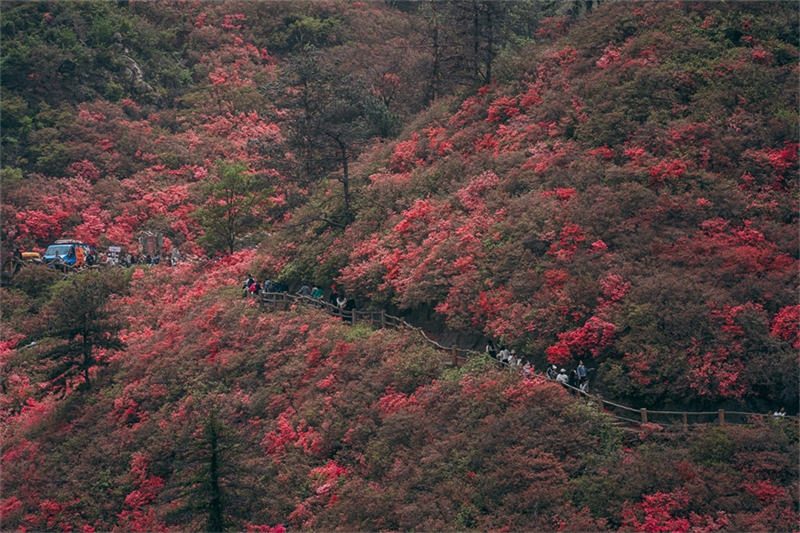 (Φωτογραφ?α / Λα?κ? Καθημεριν? Online)
