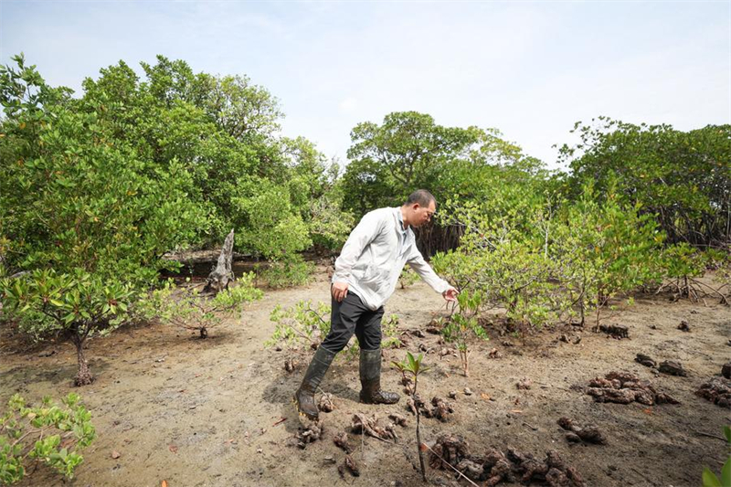 Απειλο?μενο φυτ? ανακ?μπτει χ?ρη στην επαγγελματικ? προστασ?α στη Χα?ν?ν τη? ν?τια? Κ?να?