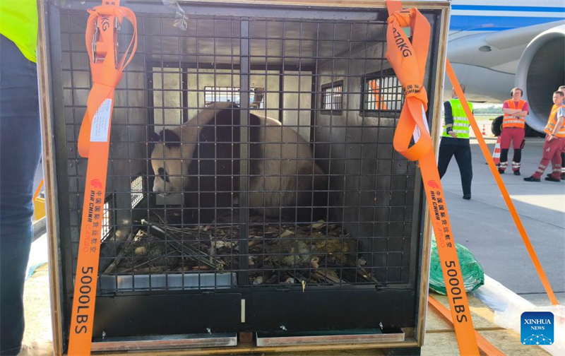 ?να γιγαντια?ο π?ντα απ? την Κ?να φτ?νει στο αεροδρ?μιο τη? Βι?ννη?, στην Αυστρ?α, στι? 23 Απριλ?ου 2025. (Φωτογραφ?α / Xinhua)