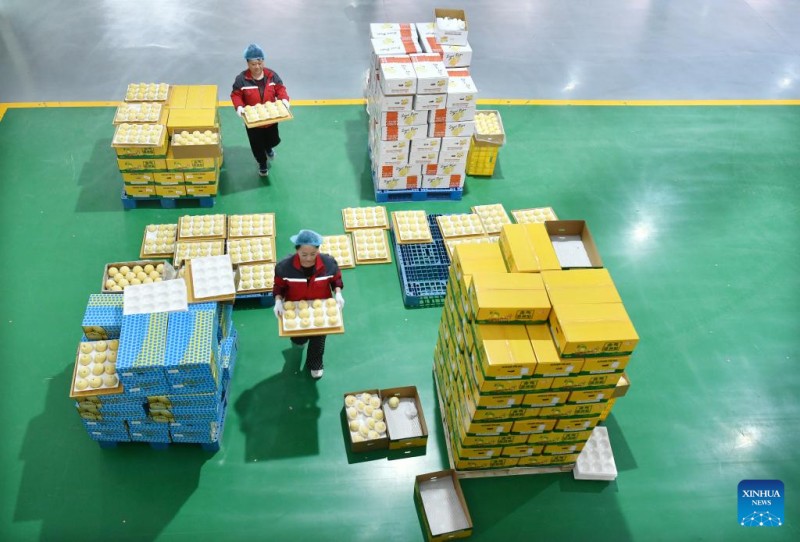 Η Κ?να, μ?σω τη? Χεμπ?ι εξ?γει φρ?σκα αχλ?δια για πρ?τη φορ? σε χ?ρα τη? Ν?τια? Αμερικ??