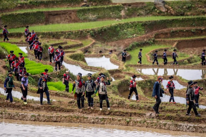 Αγροοικοσ?στημα 1.300 ετ?ν στην επαρχ?α Γιουν?ν τη? νοτιοδυτικ?? Κ?να?