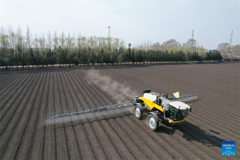 Ενα?ριο drone φωτογραφ?α τραβηγμ?νη στι? 8 Μα?ου 2025 δε?χνει ?να γεωργικ? μηχ?νημα να επεξεργ?ζεται το ?δαφο? σε χωρ?φι αγροτικ?? εταιρε?α? του Ομ?λου Beidahuang, στη βορειοανατολικ? επαρχ?α Χε?λονγκτζι?νγκ τη? Κ?να?. (Φωτογραφ?α / Xinhua)