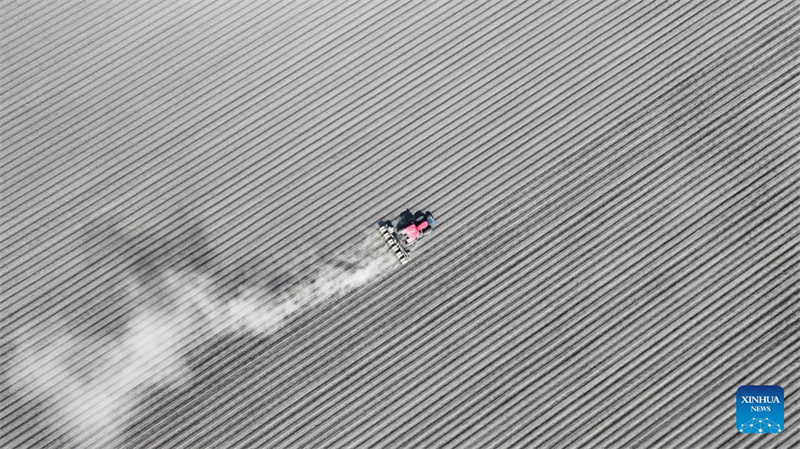 Η ανοιξι?τικη σπορ? στι? καλλιεργ?σιμε? περιοχ?? τη? Χε?λονγκτζι?νγκ σε πλ?ρη εξ?λιξη