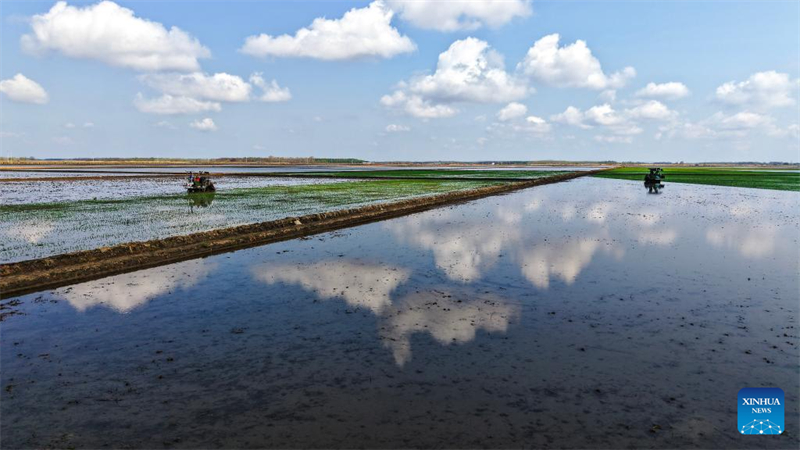 Η ανοιξι?τικη σπορ? στι? καλλιεργ?σιμε? περιοχ?? τη? Χε?λονγκτζι?νγκ σε πλ?ρη εξ?λιξη