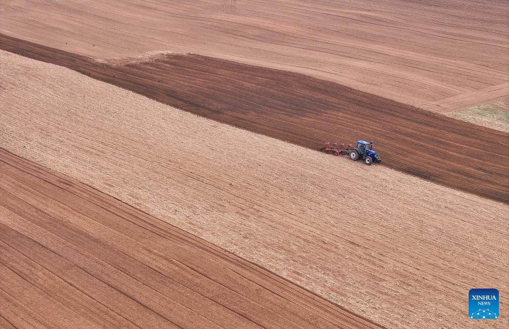 Στη κορ?φωσ? τη? η σπορ? καλαμποκιο? στην Εσωτερικ? Μογγολ?α τη? Κ?να?