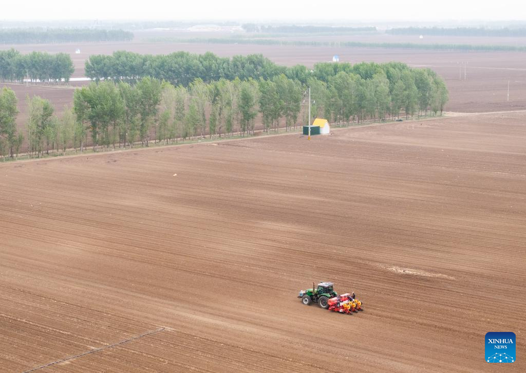 Στη κορ?φωσ? τη? η σπορ? καλαμποκιο? στην Εσωτερικ? Μογγολ?α τη? Κ?να?