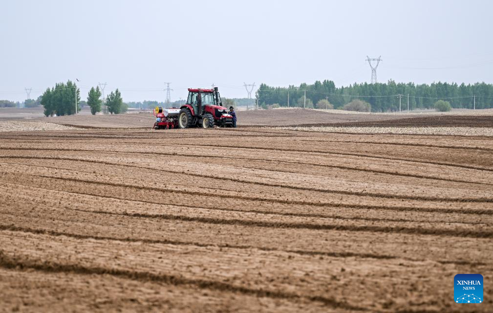 Στη κορ?φωσ? τη? η σπορ? καλαμποκιο? στην Εσωτερικ? Μογγολ?α τη? Κ?να?