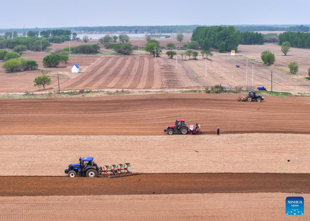 Στη κορ?φωσ? τη? η σπορ? καλαμποκιο? στην Εσωτερικ? Μογγολ?α τη? Κ?να?
