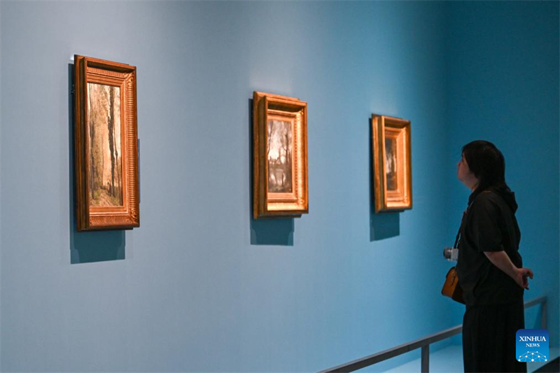 Ελαιογραφ?ε? απ? τη Γαλλ?α εκτ?θενται στην Γουχ?ν τη? Κ?να?