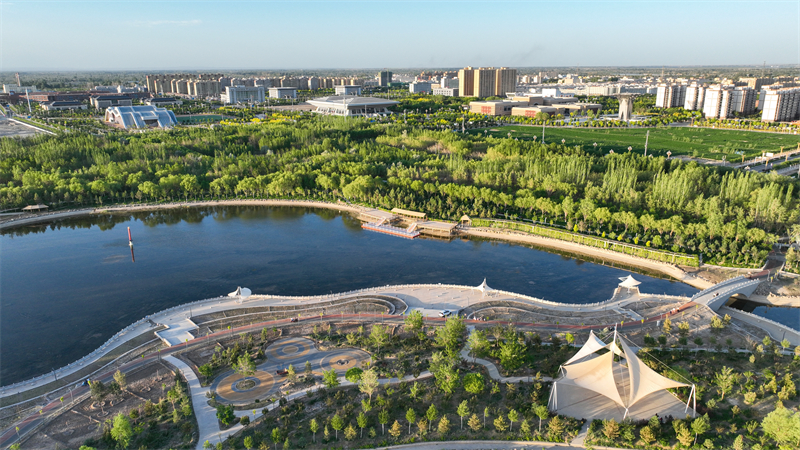 Γκανσο?: Μετατρ?ποντα? την ?ρημο γκ?μπι σε ?αση, δημιουργ?ντα? μια ν?α οικολογικ? εικ?να