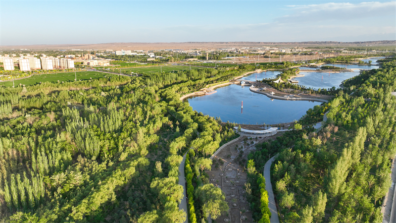 Γκανσο?: Μετατρ?ποντα? την ?ρημο γκ?μπι σε ?αση, δημιουργ?ντα? μια ν?α οικολογικ? εικ?να