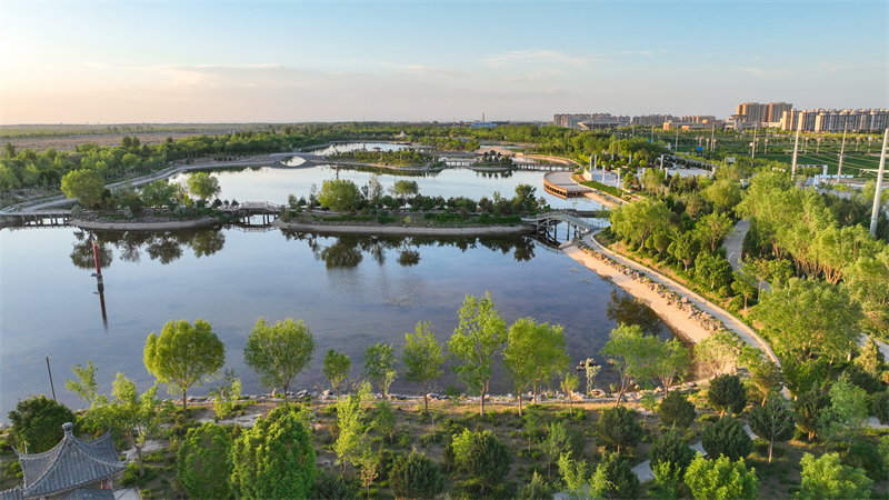 Γκανσο?: Μετατρ?ποντα? την ?ρημο γκ?μπι σε ?αση, δημιουργ?ντα? μια ν?α οικολογικ? εικ?να