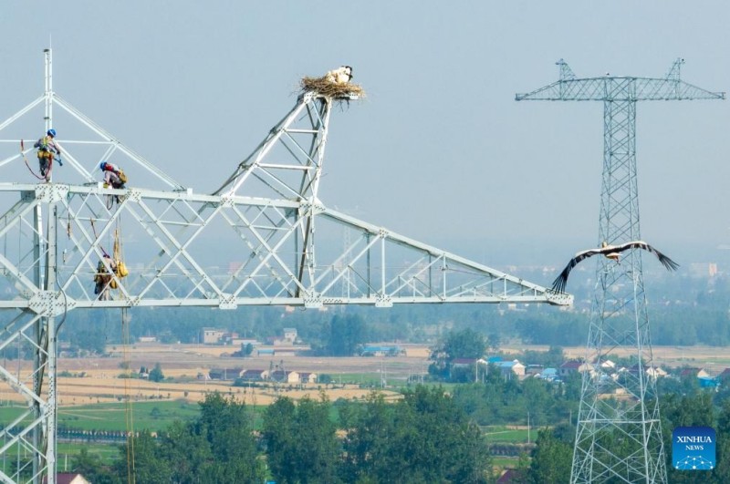 Αναβολ? κατασκευ?? για την προστασ?α των λευκ?ν πελαργ?ν στην περιοχ? Ανχου?ι?τη? Κ?να?