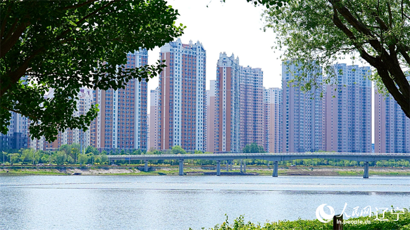 (Φωτογραφ?α / Λα?κ? Καθημεριν? Online)