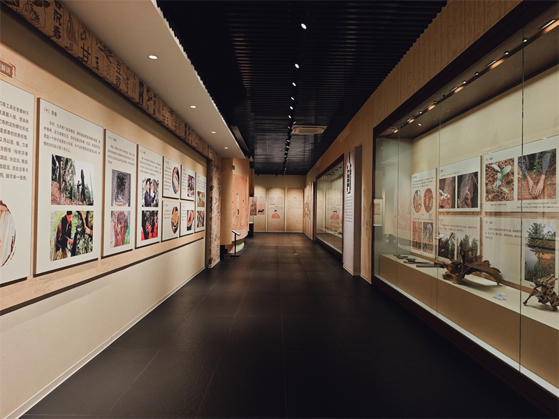 Στο Π?ρκο Προστασ?α? ?υλη? Πολιτιστικ?? Κληρονομι?? Γκουανσι?νγκ τη? π?λη? Ντονγκου?ν (Dongguan), η α?θουσα εκθ?σεων παρουσι?ζει πλ?ρω? ολ?κληρη τη διαδικασ?α, απ? την καλλι?ργεια των δ?ντρων Γκουανσι?νγκ ?ω? την παραγωγ? του Γκουανσι?νγκ. (Φωτογραφ?α / Λα?κ? Καθημεριν? Online)