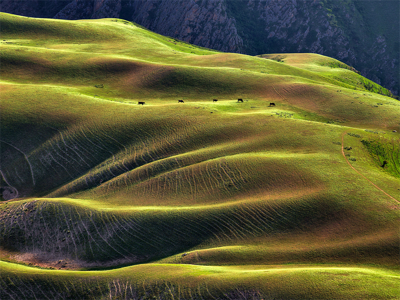 (Φωτογραφ?α / Λα?κ? Καθημεριν? Online)