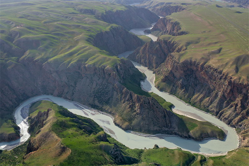Αυτ?νομη Περιφ?ρεια Σιντζι?νγκ: Η ομορφι? των λιβαδι?ν Καλατζο?ν στι? αρχ?? του καλοκαιριο?