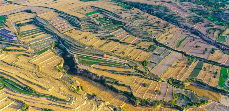 Επαρχ?α Σανσ?: Το ?μορφο τοπ?ο τη? καλοκαιριν?? γεωργικ?? γη?