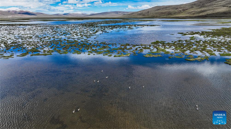 Τοπ?ο του Εθνικο? Φυσικο? Καταφυγ?ου Τσινγκχ?ι Λονγκμπ?ο