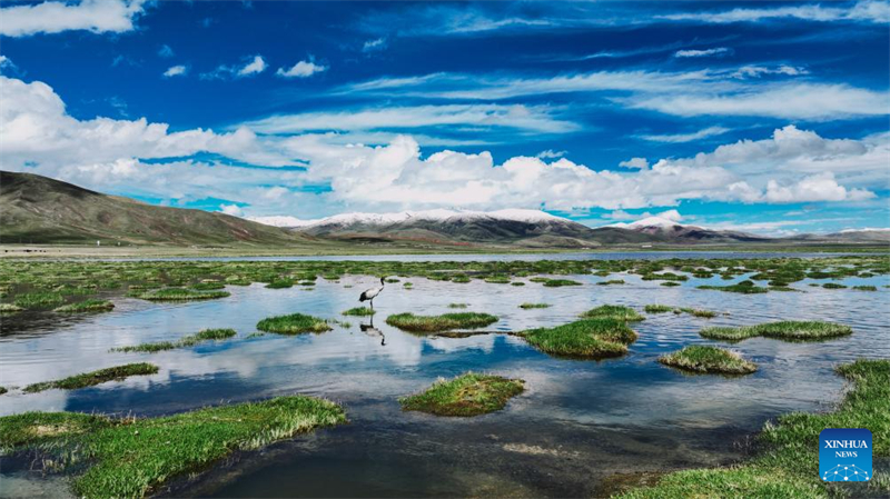 Τοπ?ο του Εθνικο? Φυσικο? Καταφυγ?ου Τσινγκχ?ι Λονγκμπ?ο