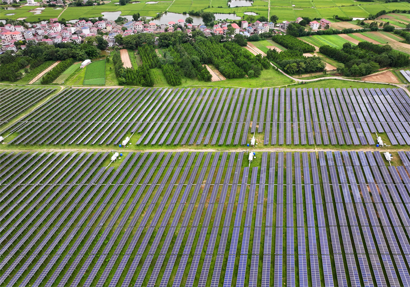 (Φωτογραφ?α / Λα?κ? Καθημεριν? Online)