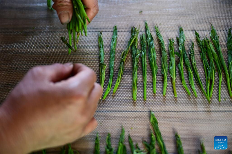 Εθνικ? ?υλη πολιτιστικ? κληρονομι? - τεχνικ? παρασκευ?? του τσαγιο? Τα?π?νγκ Χοουγκου?ι