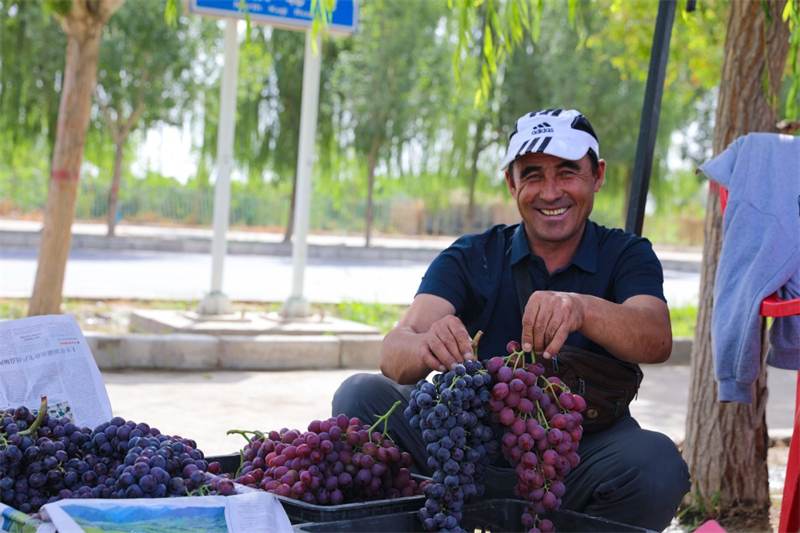 Εικ?νε? καλ?? συγκομιδ?? απ? το Σιντζι?νγκ