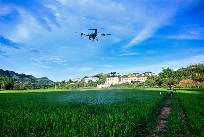 (Φωτογραφ?α / Λα?κ? Καθημεριν? Online)