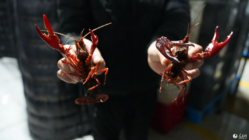 (Φωτογραφ?α / Λα?κ? Καθημεριν? Online)