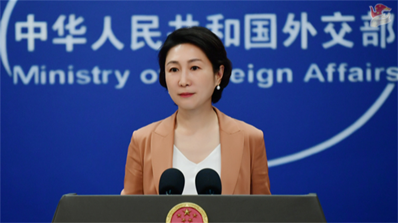 Η εκπρ?σωπο? του κινεζικο? υπουργε?ου Εξωτερικ?ν, Μ?ο Νινγκ. /Υπουργε?ο Εξωτερικ?ν τη? Κ?να?