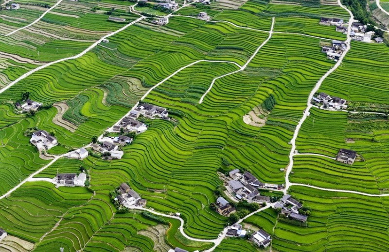 Οι αναβαθμ?δε? στι? ?χθε? του ποταμο? Λαντσ?νγκ?ε?ναι ?μορφε? σαν π?νακα? ζωγραφικ??