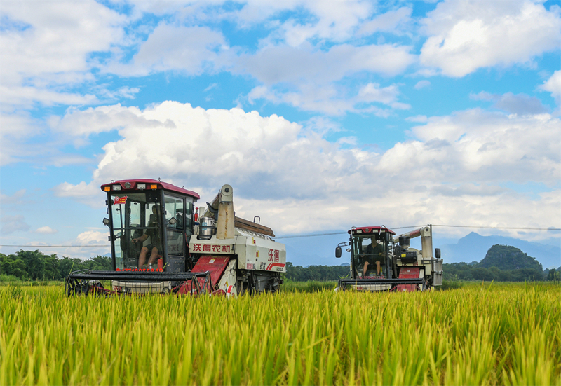 (Φωτογραφ?α / Λα?κ? Καθημεριν? Online)