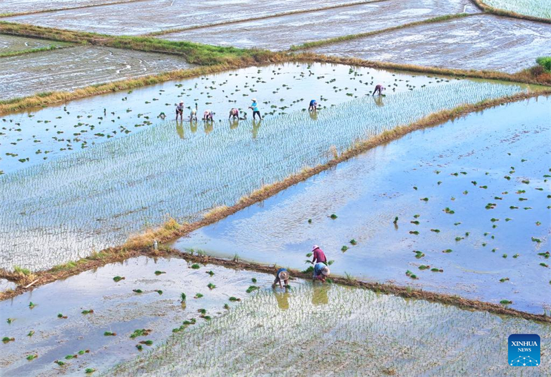 Οι αγρ?τε? σε ?λη την Κ?να ασχολο?νται με τη γεωργικ? παραγωγ? κατ? την αγροτικ? περ?οδο