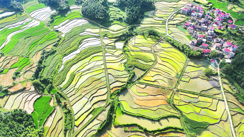 (Φωτογραφ?α / Λα?κ? Καθημεριν? Online)