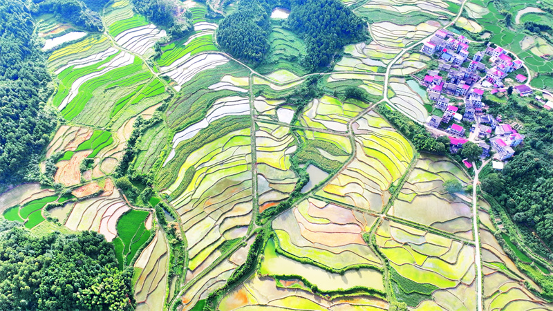 Επαρχ?α Τζιανγκσ?: Πολ?χρωμα πεζο?λια ε?ναι ?να θ?αμα που πρ?πει να δει?