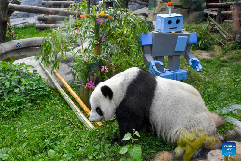 Τα ?γδοα γεν?θλια του Γιγ?ντιου Π?ντα Ντινγκντ?νγκ γιορτ?στηκαν στον ζωολογικ? κ?πο τη? Μ?σχα?