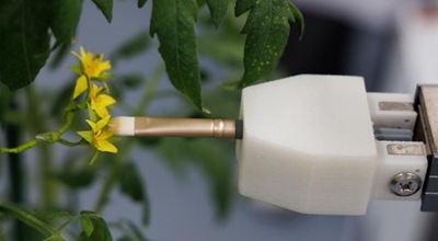 Κιν?ζοι επιστ?μονε? αναπτ?σσουν τον πρ?το στον κ?σμο ρομπ?τ πλ?ρου? διαδικασ?α? για ευφυ? καλλι?ργεια