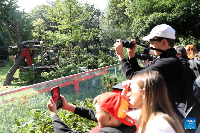 Το δε?τερο ζε?γο? δ?δυμων Π?ντα που γενν?θηκαν στη Γερμαν?α γιορτ?ζει τα πρ?τα του γεν?θλια