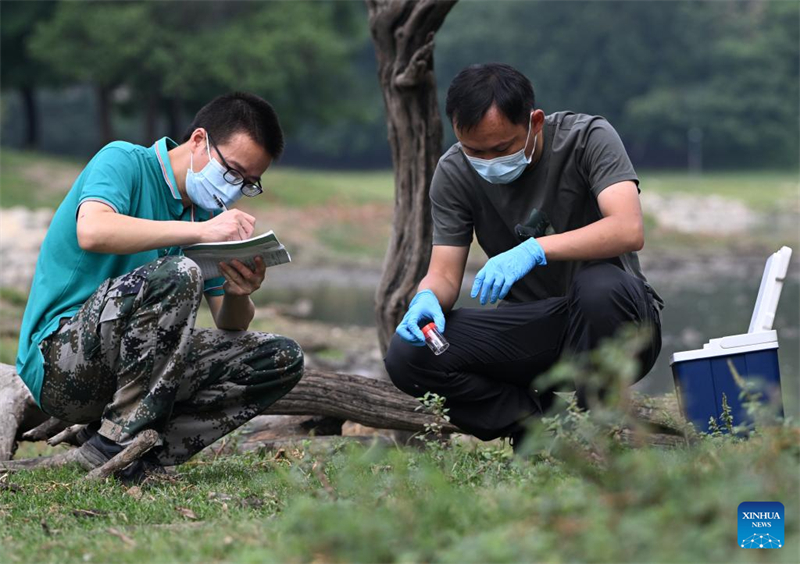 Οι ?γριοι πληθυσμο? των ελαφι?ν Μιλο? αποκαταστ?θηκαν στην Κ?να μετ? απ? 40 χρ?νια προσπαθει?ν διατ?ρηση?