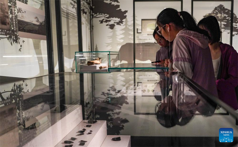 Οι πολιτιστικο? χ?ροι και τα μουσε?α γ?νονται δημοφιλε?? προορισμο? για του? ανθρ?που? κατ? τη δι?ρκεια των καλοκαιριν?ν διακοπ?ν